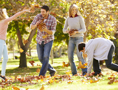 Cleaning Your Leaves Up the “Green” Way