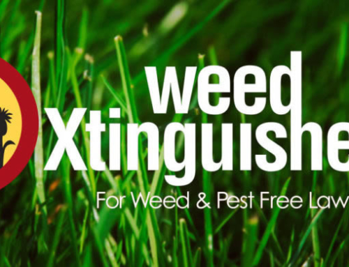 The Mission of Weed Xtinguishers