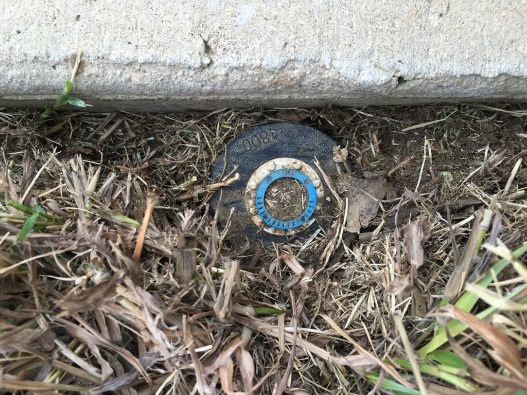 Dealing with Broken Sprinkler Heads No Bugs No Weeds